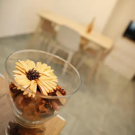 Apartment Taradzic